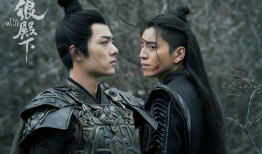 电视剧  狼,野性呼唤下的生存传奇