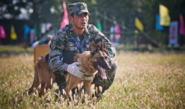 神犬奇兵电视剧,忠诚守护，战火炼心