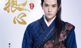 狼心电视剧,乱世英雄的悲歌与救赎