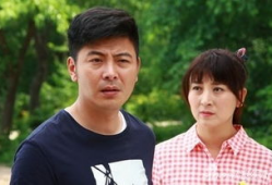 刘家媳妇电视剧,命运交织的家族传奇