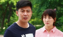 刘家媳妇电视剧,命运交织的家族传奇