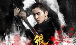 电视剧  狼,野性呼唤下的生存传奇